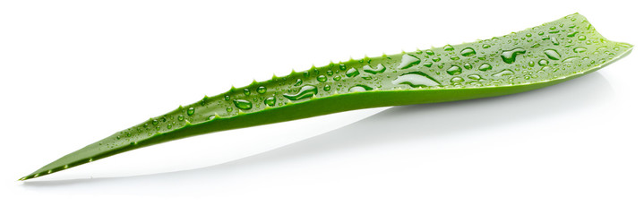 aloe vera saft verdauung Darmkur FLORA VIDA & Aloe Saft – WILD BABOON main image 1