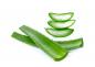 Preview: Bio Aloe Vera Frischblätter 1.100 Gramm