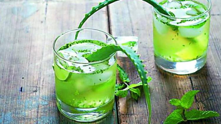 Preview: Bio Aloe Vera Frischblatt Direkt-Saft - Sommerspecial