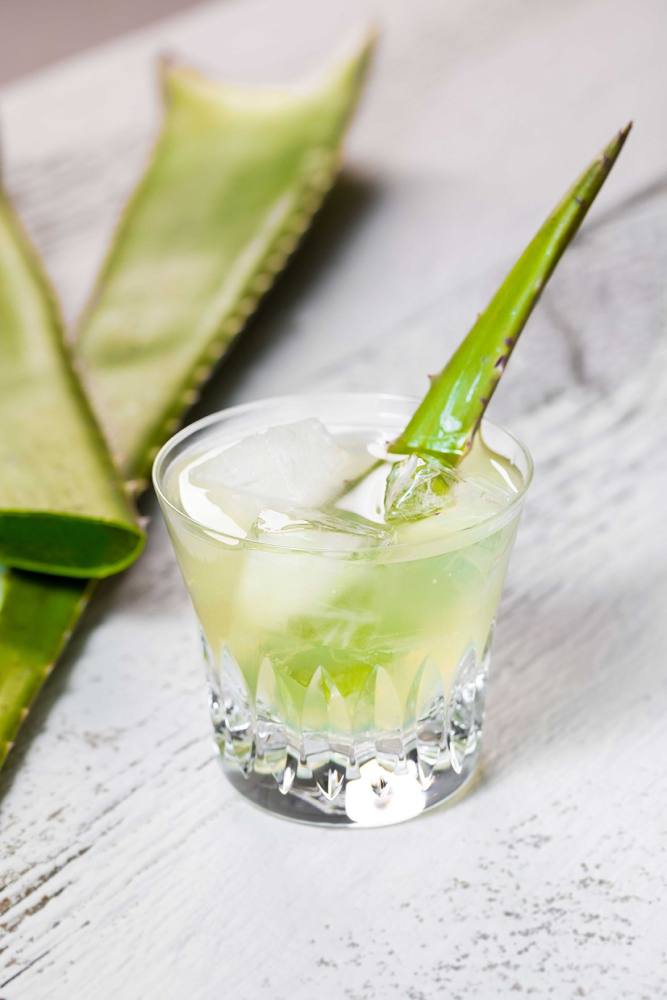 Preview: Bio Aloe Vera Frischblatt Direkt-Saft - Sommerspecial
