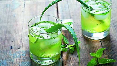 Bio Aloe Vera Frischblatt Direkt-Saft - Sommerspecial