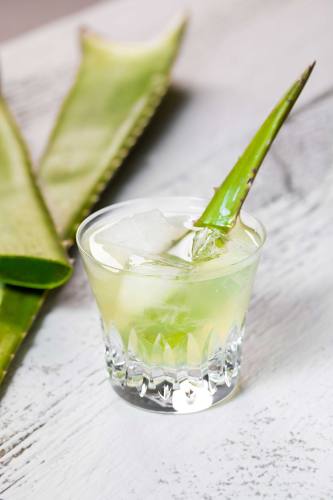 Bio Aloe Vera Frischblatt Direkt-Saft - Sommerspecial