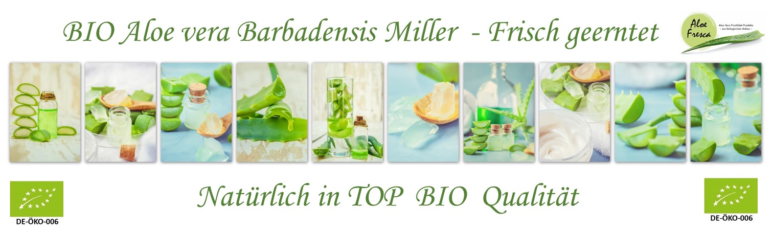 matratzenbezug aloe vera AVITA ALOE VERA - Matratze mit Visco Memory Technologie – LUSSO